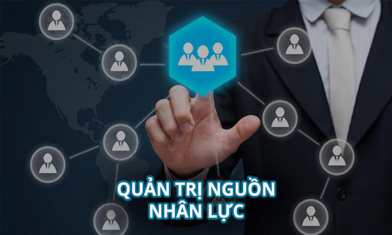 Ngành quản trị nhân lực là gì?